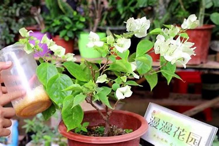 硫酸是有机物还是无机物