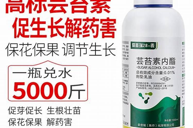 种西瓜用什么肥？昆仑风增产效果好吗