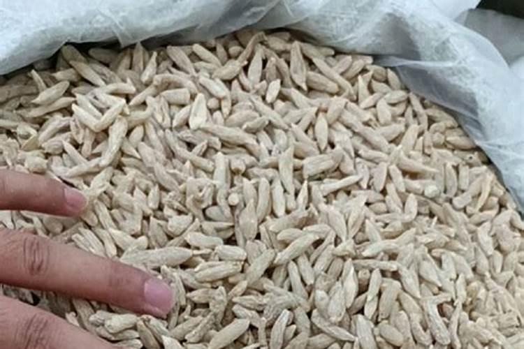 麦冬苗一吨种多少平米？