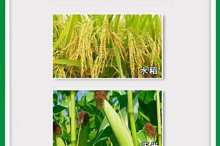 高钾大量元素水溶肥哪个牌子的比较好,