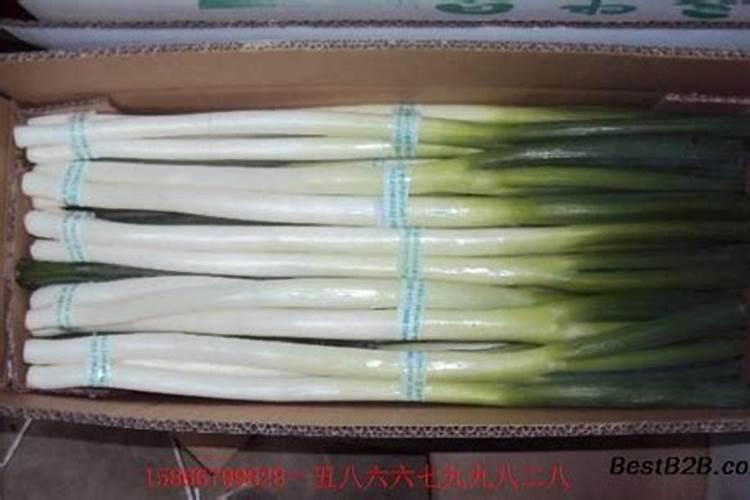 磷肥提前撒地里好不好？