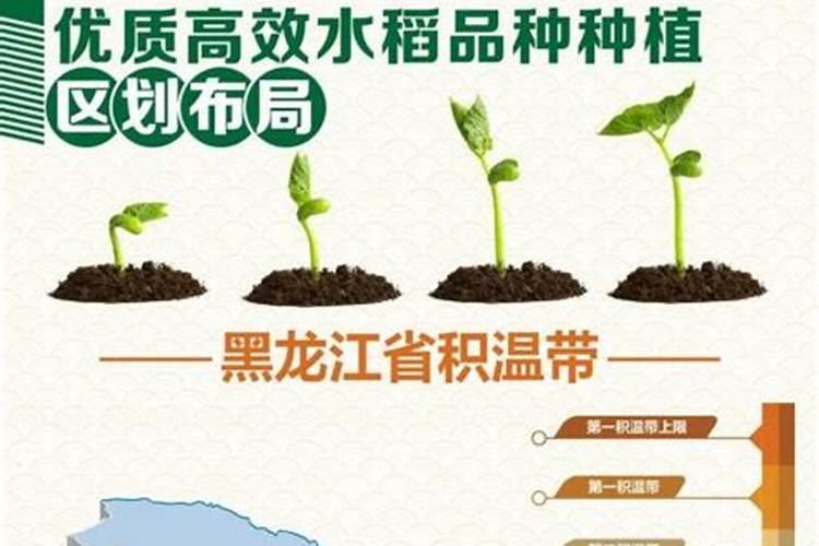 美盛化肥效果怎么样？