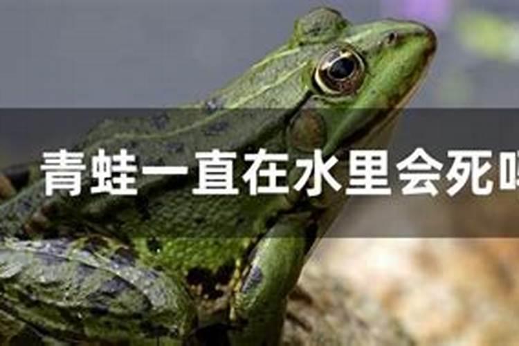 腐殖酸和腐植酸钠区别