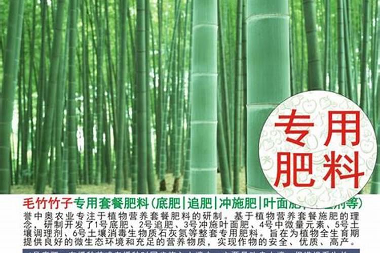 毛竹怎样施肥