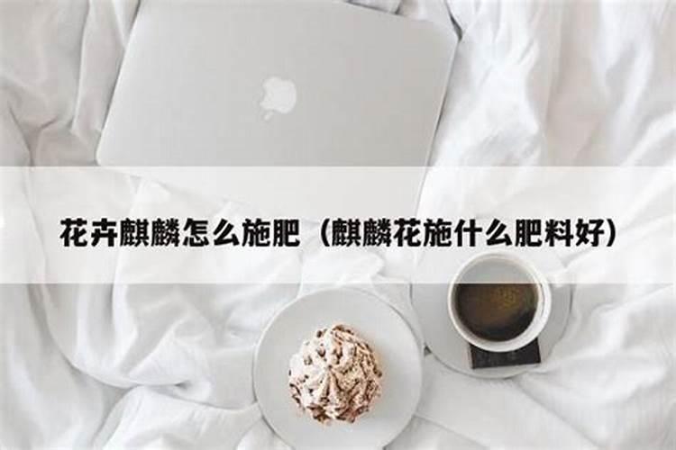 种植麒麟花需要用什么肥料