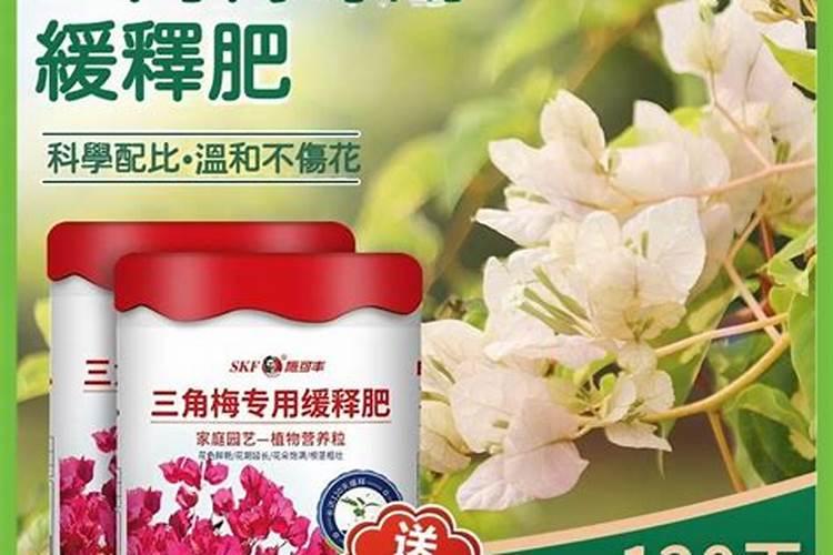 想要草莓产量高,促好花芽分化很关键,具体该怎么做？