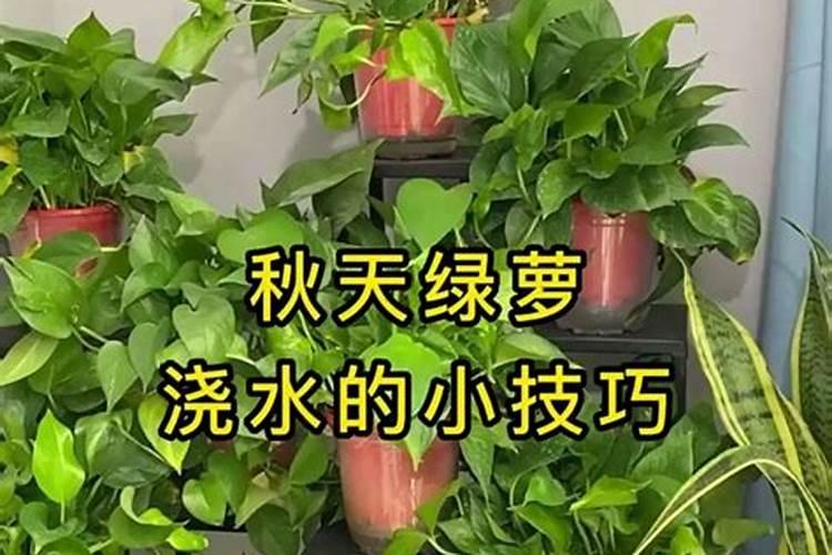 轮作的作用和意义