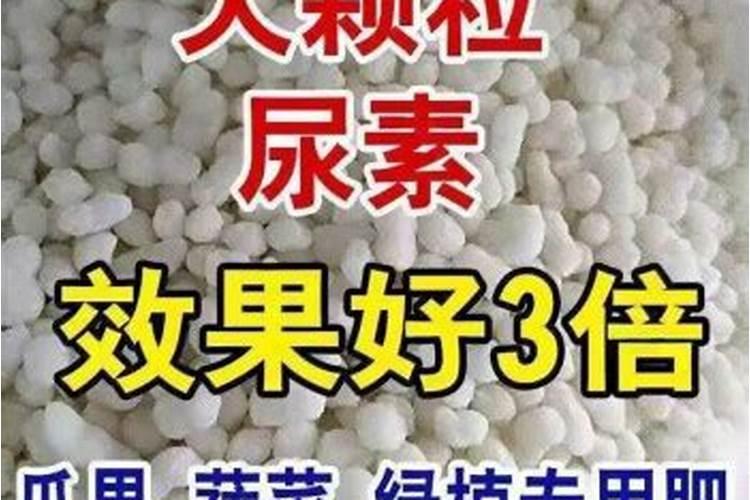 氮肥好还是尿素肥好