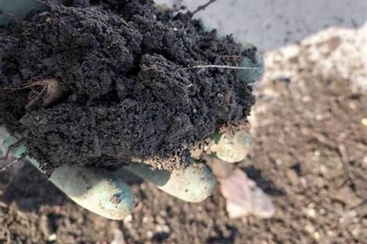 自制肥料方法 你懂吗