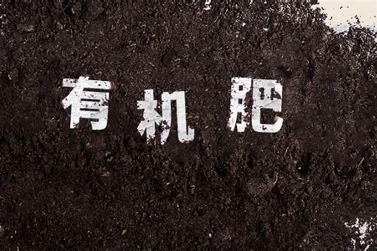 建兰什么时候用磷酸二氢钾催花