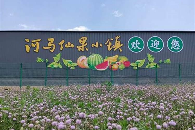 复合肥十大名牌排行榜