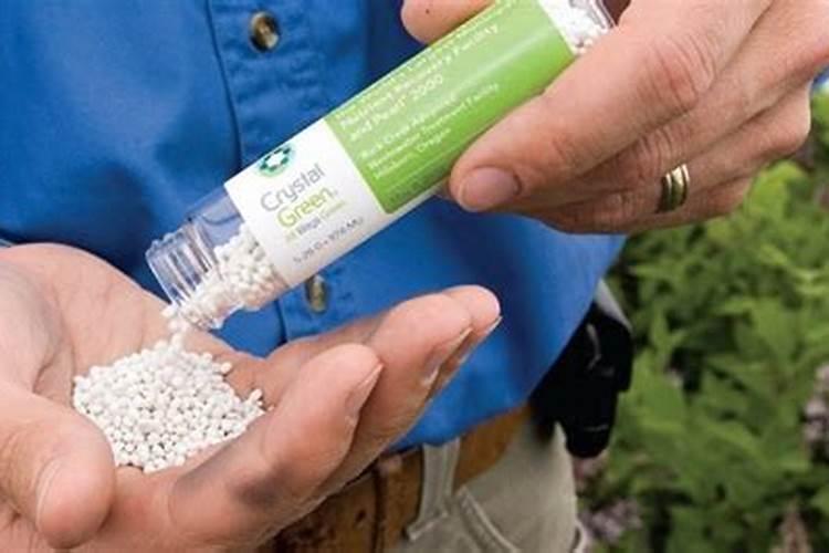 小桃树采用何种施肥方式最为理想