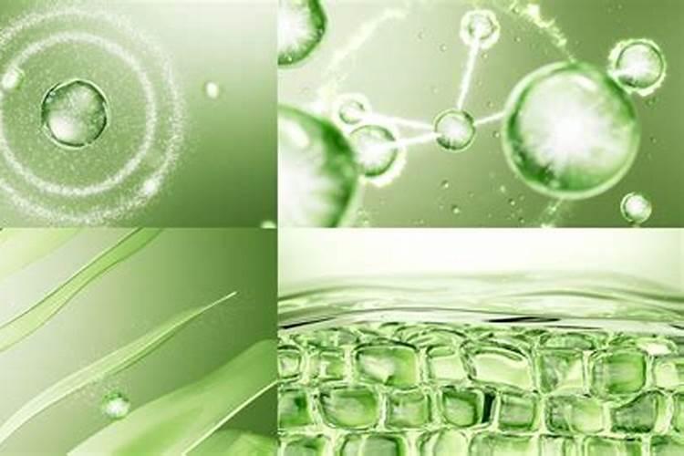 大量元素水溶肥对花卉绿植的用法