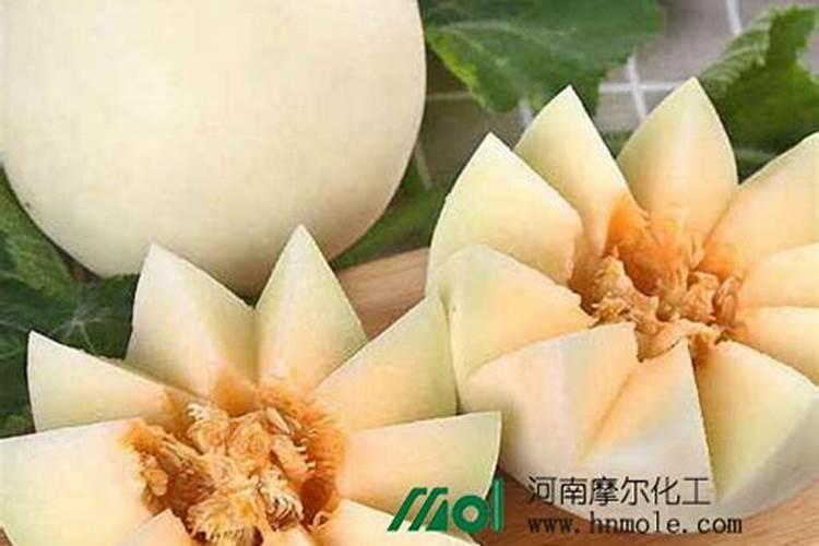 如何让芒果树尽快干死