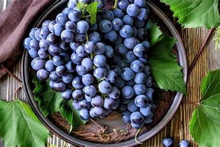 干鸡粪作用好处有哪些