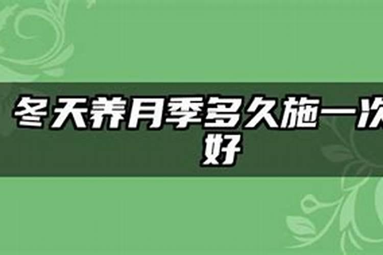 合欢花怎么施肥,5个要点使合欢开满花