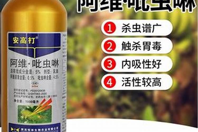 玉米叶面肥和虫子药打完多长时间能吸收