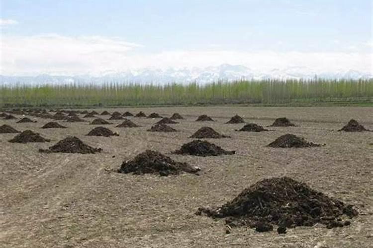 有机肥施肥过量有没有危害？会不会污染环境？