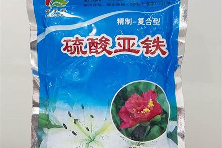 什么花最好养活且鲜艳？