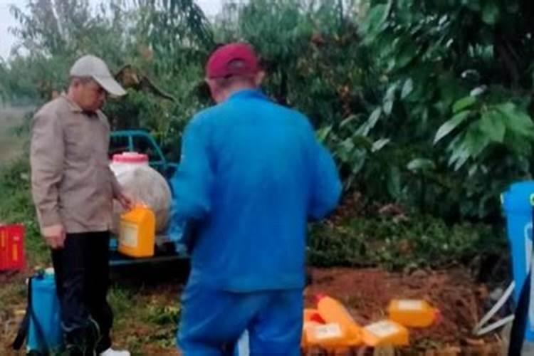 氨基酸葡萄糖片的作用