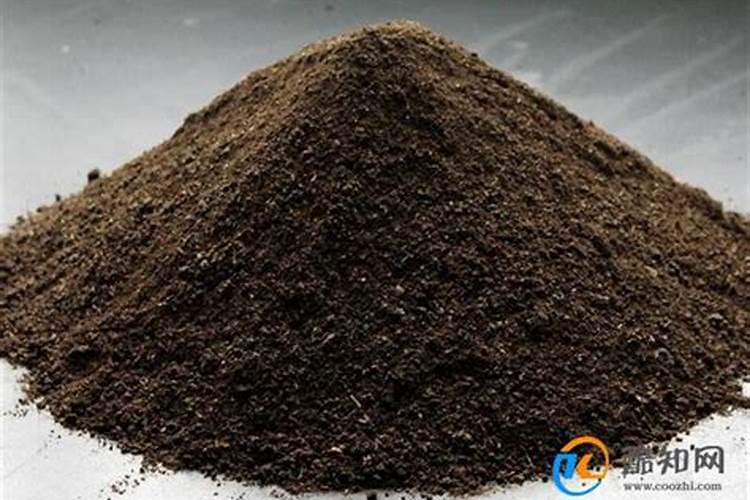 啥时间给兰花适用益生菌？刚种下兰花能适吗？哪位兰友知道？谢谢了