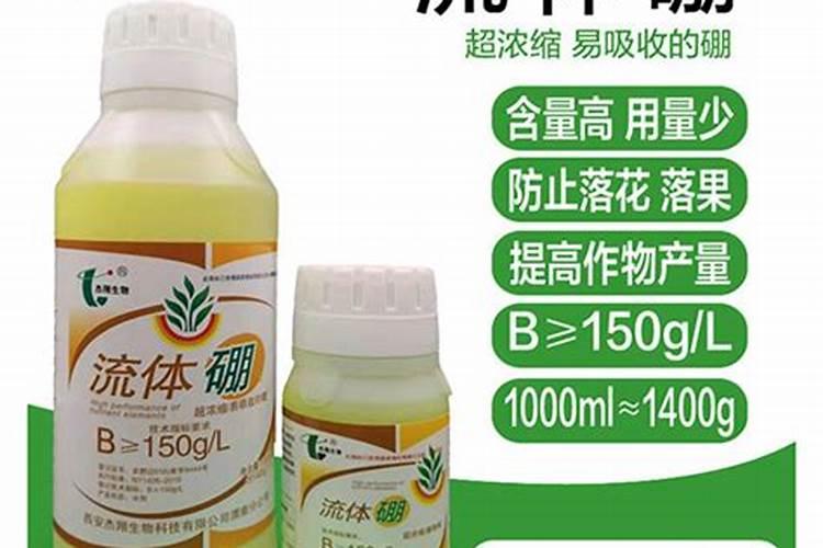 为什么种的玫瑰长势很差多图