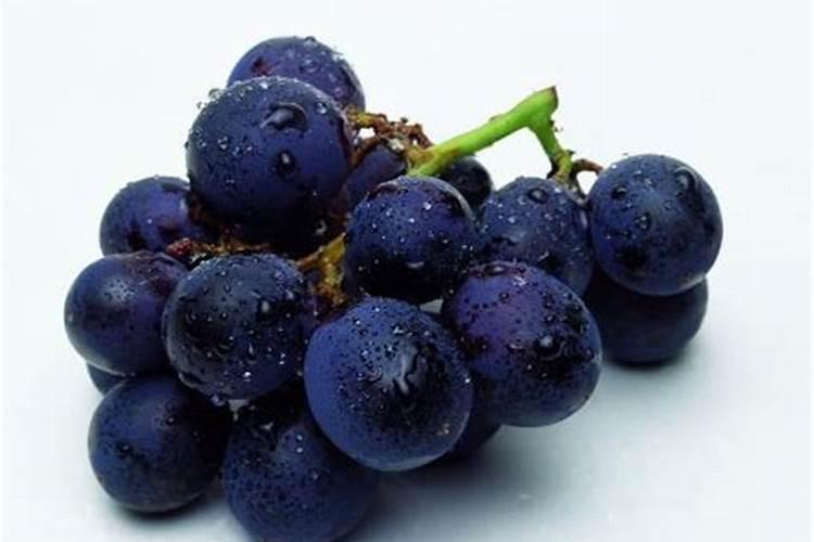 排名前十的化肥厂家