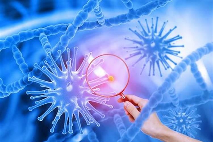 河北省有哪些复合肥厂？