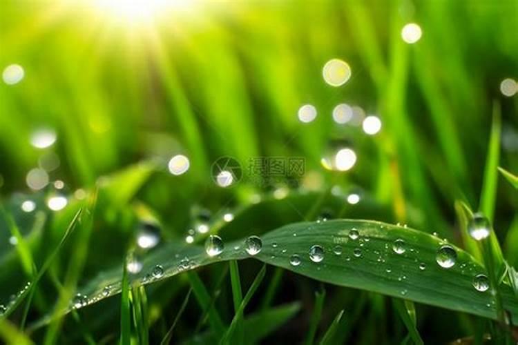 下完雨撒水溶肥可以吗