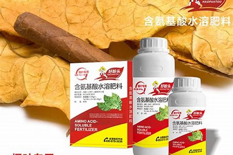 烤烟落黄金叶灿好还是大红甲好