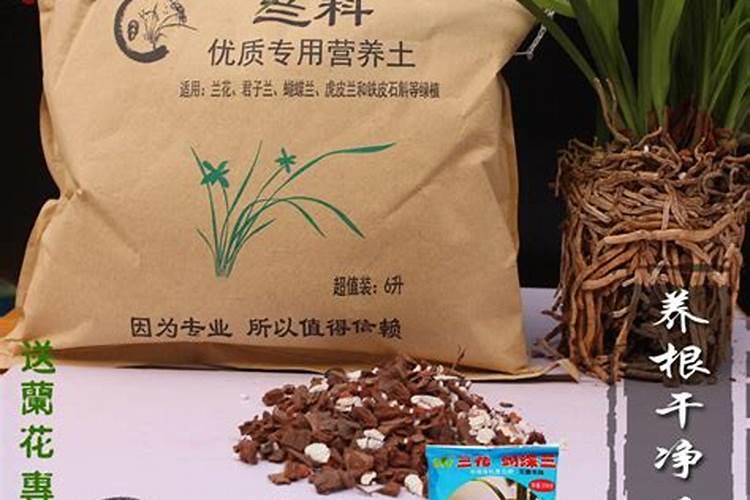 兰花花肥用什么合适,肥料制作与使用方法