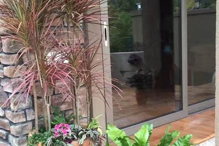 香蕉是高钾食物,每100克香蕉约含钾多少mg？