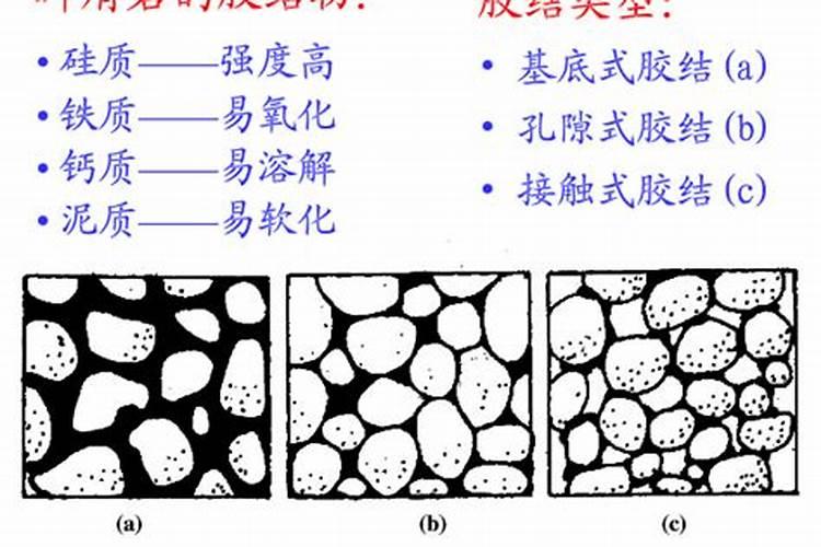 番茄煮熟皮就皱了是为什么