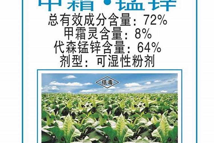 菠菜霜霉病和叶斑病打的药