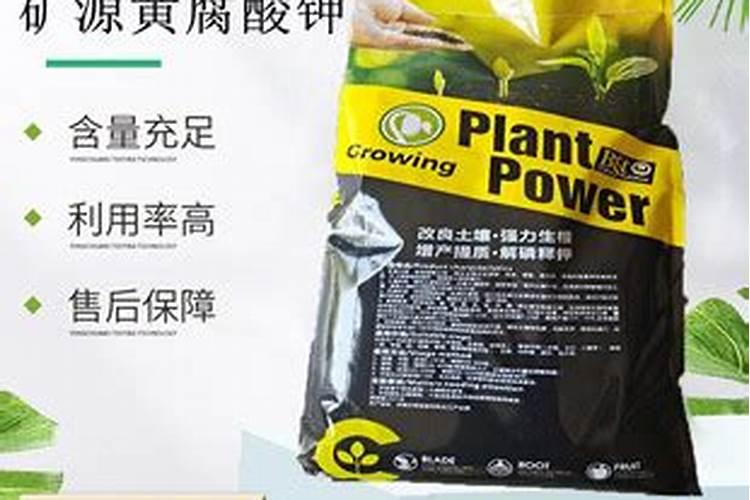 有机水溶肥是什么肥料