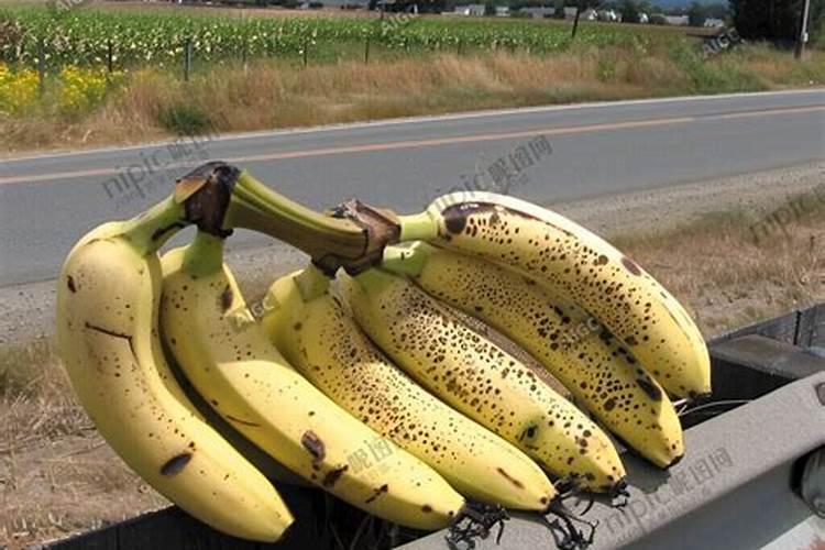 香蕉喷叶面肥有什么好处