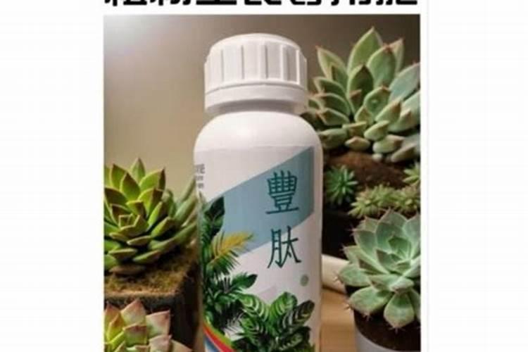 请教一下多肉植物要怎么施肥呢