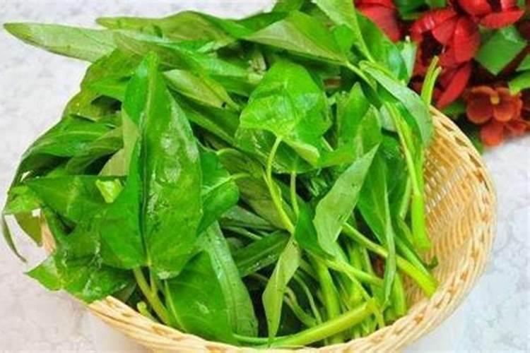 空心菜用什么叶肥好