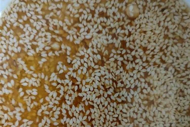 芝麻酱可以当花肥浇吗？如何浇