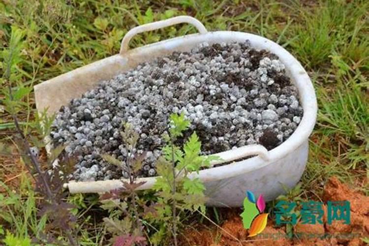 过期的芝麻酱怎么用