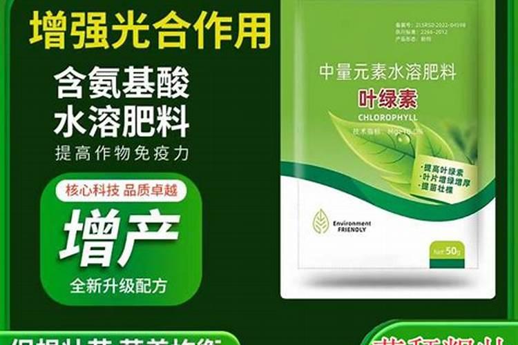 叶绿素控旺使用方法 如何喷施