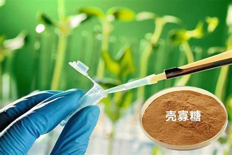 大量元素里面加氨基酸寡糖会怎么样