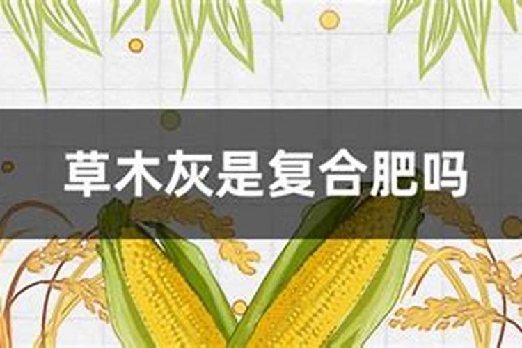 玉米虫子药几小时遇雨有效