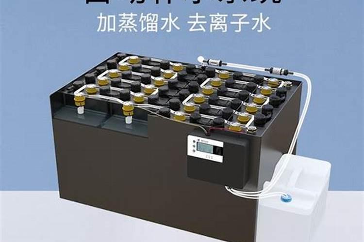 玉米如何使用叶面肥