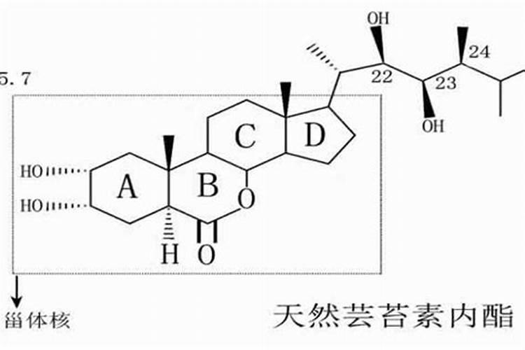 芸苔素14,24,28的区别是什么？