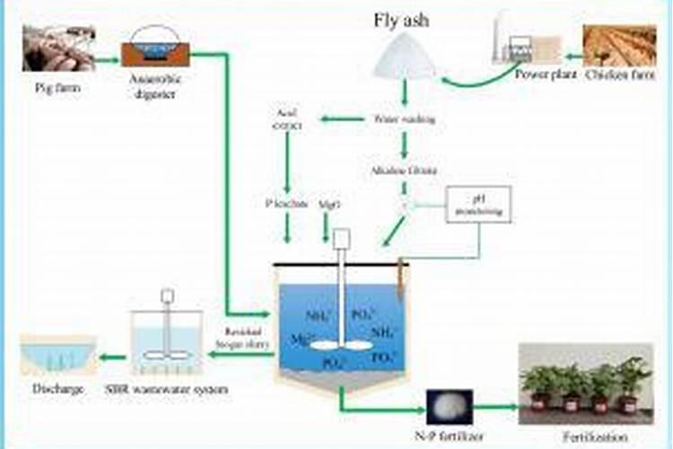 养花用什么肥料好