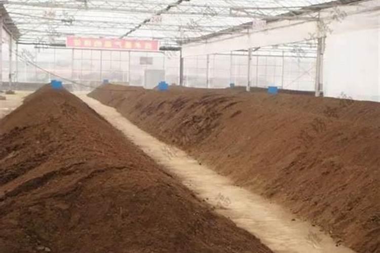 哪些农家肥中含磷量较高？