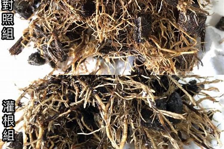 用来给作物补钙的钙肥,价位越高越好吗？