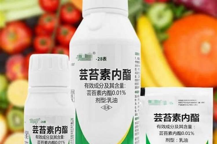 “变废为宝”,生物有机肥好处竟然这么多