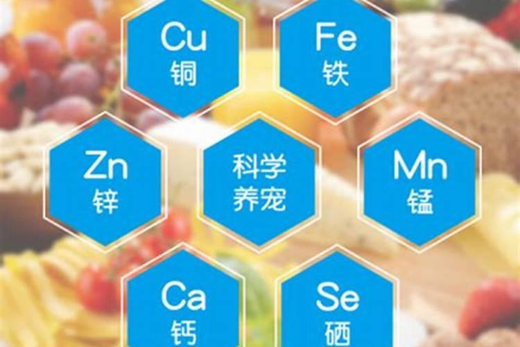 补锌的药有哪些